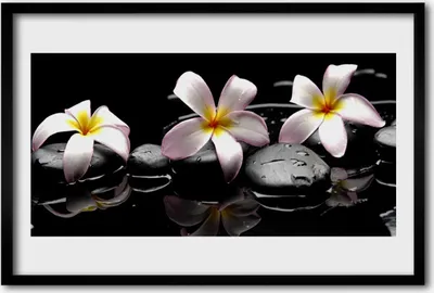Produktbild von Bild 60x40 MDF-Rahmen Wandkunst Stein Blume Pflanze
