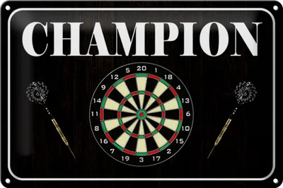 Produktbild von Blechschild Darts Champion, 30 x 20 cm, Blechschilder Spruch Sport Hobby