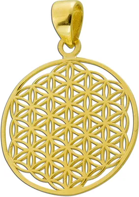 Produktbild von Blume des Lebens Anhänger Gelbgold 333 8K Lebensblume