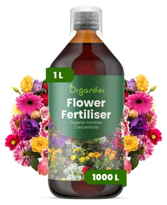 Produktbild von Flower Flüssigdünger 1L – 3-4-3 NPK – Flüssigdünger für Blühpflanzen – Für Üppige Blüten & Intensives Wachstum – Organifer