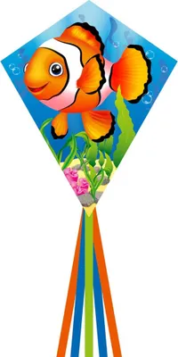 Produktbild von Kinderdrachen HQ Eddy 70 Clownfish 102114 Regenbogen 58 x 70 cm + 250 cm staart