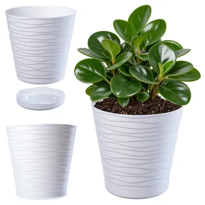 Obrázek produktu pro KADAX květináč s podšálkem "Greve", květináč, plastový květináč, květináč, kulatý, 17 cm, bílý