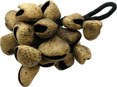 Produktbild von Samenrassel Pangi, Naturshaker, 20 cm