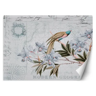 Produktbild von FOTOTAPETE Shabby chic Vögel Blumen Blätter 450x315 cm VLIES Tapete Wandtapete Wandbilder Wanddekoration Design Wohnzimmer Schlafzimmer Flur Büro Küche