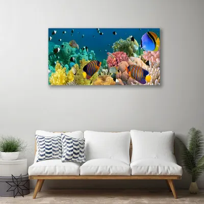 Produktbild von Tulup Leinwand-Bilder 100x50 Wandbild Canvas Kunstdruck Korallenriff Natur