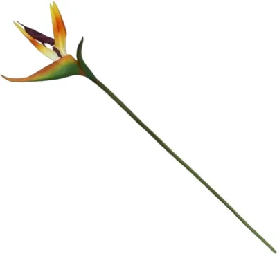 Produktbild von Kunstliche Blume Strelitzia - 62 cm - Zweig - Paradiesvogelpflanze