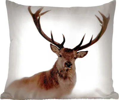 Produktbild von MuchoWow® Zierkissen Sofakissen Wohnzimmer Dekokissen 50x50 cm Porträt - Hirsch - Geweih - Komfort - Sofakissen