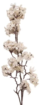 Immagine prodotto di Clayre & Eef Fiore artificiale 10x7x98 cm Bianco Plastica