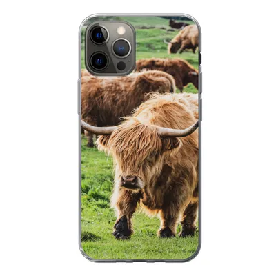 Produktbild von MuchoWow® Handyhülle Schutzhülle Hülle für iPhone 12 Pro Schottische Highlander - Tiere - Gras Silikon Softcase Handy Hülle - Abdeckung