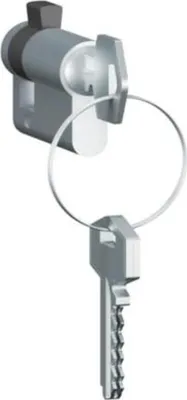 Zdjęcie produktu dla Półbębenek Legrand 40 mm, ten sam zamek, dostarczany z 3 kluczami 069795