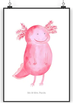 Produktbild von Mr. & Mrs. Panda Bild Axolotl Glücklich DIN A4 - Weiß - Geschenk, gut Gelaunt, Schwanzlurch, Posterdruck, wanddeko, Wandbild, Lurch, Lebensfroh, Lurche, Kunstdruck