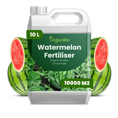 Produktbild von Flüssigdünger Für Wassermelonen 10L – 2-1-8 NPK – Flüssig-Pflanzendünger Für Wassermelonen – Organifer