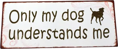 Produktbild von Metallschild Only my dog