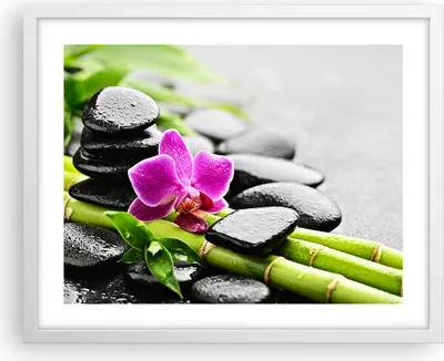 Produktbild von Gerahmtes Poster - Weißer Rahmen - Pflanze Steine Bambus Spa - 50x40 cm - Wand Bild - Wanddeko - Wandbilder - Kunstposter - Wandposter - Bilderrahmen - Bilder - Kunstdruck - Wandbild - P2WAA50x40-2681
