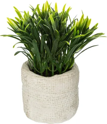 Produktbild von Künstliche pflanze zementtopf h14cm  - Atmosphera créateur d'intérieur