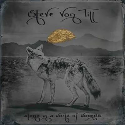 Produktbild von Alone In A World Of Wounds