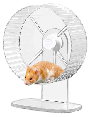 Produktbild von Laufrad Hamsterrad Laufrad für Hamster - 21 cm - Leise - Höhenverstellbar - Transparent