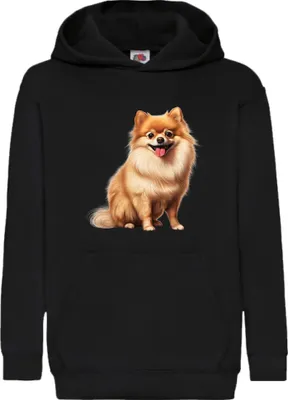 Zdjęcie produktu dla Dziecięca Bluza Z Kapturem Dogs Breeds Pomeranian Dog Breed 006, 7-8 Jahr - 128 / Czarny