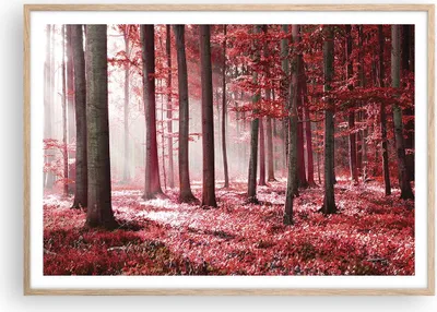Produktbild von Gerahmtes Poster - Rahmen in heller Eiche - Wald Rot Bäume - 100x70 cm - Wand Bild - Wanddeko - Wandbilder - Kunstposter - Wandposter - Bilderrahmen - Bilder - Kunstdruck - P2NAA100x70-4944