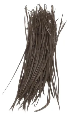 Federn, 13–17 cm, 100 Stück, dunkelbraun, Naturfedern