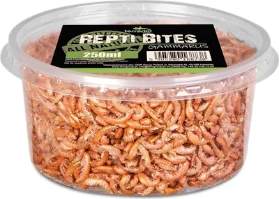 Immagine prodotto di Terrario Repti Bites Gammarus 250ml - Terrario Fleabane essiccato