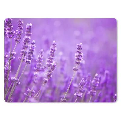 Produktbild von MuchoWow® Mauspad Mousepad Lavendel - Nahaufnahme - Blumen - Lila 23x19 cm - Mousepads - Maus Mat - Pad - Mausunterlage - Schreibtischunterlage - Mauspad