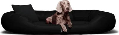 Produktbild von tierlando® Orthopädisches Hundebett Sammy VISCO | Kunstleder - High-Tech-Velours - Größe: 140x105cm | Farbe: 03 Schwarz