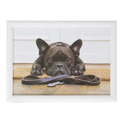 Produktbild von Mars & More Knietablett Tablett französische Bulldogge Betttablett Kissen Laptop Laptray