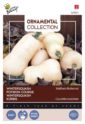Produktbild von Buzzy Ornamental Kürbis Waltham Butternut Samen - Ca. 1,5 gr | Buzzy_029831