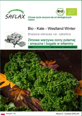Zdjęcie produktu dla SAFLAX - Bio - Kale - Westland Winter - 70 Nasiona - Brassica oleracea var. sabellica