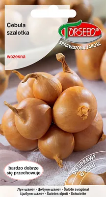 Produktbild von Samen der Toto-Schalottenzwiebel 1g - Torseed