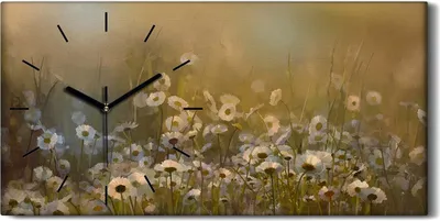 Produktbild von Wandbild Leinwand Bilder mit Uhr 60x30 Bild Blumig Gänseblümchen Blume Wiesen - schwarze Hände