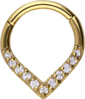 Produktbild von Ohrpiercing, Nasenpiercing, Septum Piercing Chirurgenstahl Segmentring Clicker SPITZ + 11 EINGEFASSTE KRISTALLE