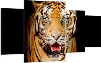 Produktbild von Bild auf Leinwand - Leinwandbild - tiger tier - 160x90cm - Wand Bild - Wanddeko - Wandbilder - Leinwanddruck - Bilder - Kunstdruck - Wanddekoration - Leinwand bilder - Wandkunst - DL160x90-4103