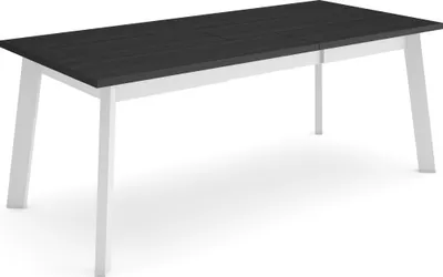 Immagine prodotto di ODIN Tavolo da Pranzo, 194x90x75cm, Per 10 persone, Gambe in legno, Nero