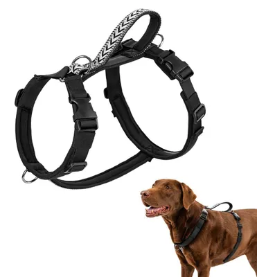 Image de Harnais pour chien, anti-fugue, anti-traction, rembourré, avec boucle avant, couleur noire, taille XL