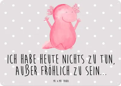 Produktbild von Mr. & Mrs. Panda Schild Axolotl Hurra DIN A5 - Grau Pastell - Geschenk, Blechschild, Molch, Motivation, Fröhlich, Freude, Wandbild, Magnetschild, Lurche, tafel, Türschild