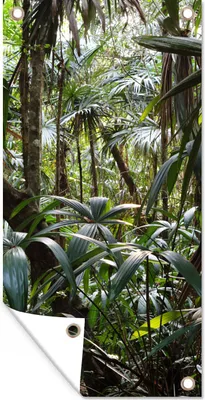 Produktbild von MuchoWow® 80x160 cm Outdoor-Poster Gartendeko Sichtschutz Garten Poster für den Garten  Pflanzen im Regenwald