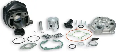 Immagine prodotto di Gruppo termico Malossi D 47 70cc ghisa spinotto 12 LC