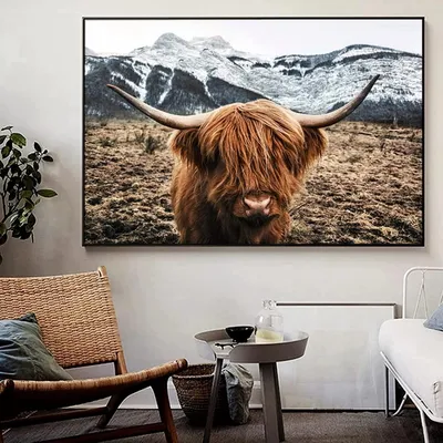 Canvas-Bild Highland Cow, 40x60 cm, Naturmotiv, ohne Rahmen
