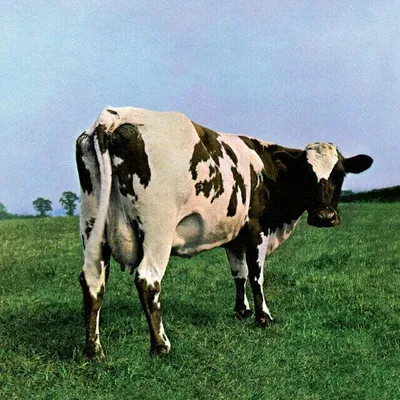 Produktbild von Pink Floyd - Atom Heart Mother (180 g) (LP)