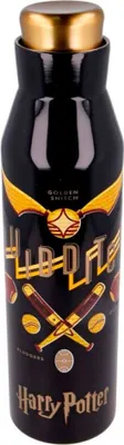 Zdjęcie produktu dla Termobutelka ze stali nierdzewnej Diabolo - Harry Potter 580 ml