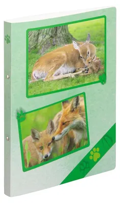 Immagine prodotto di Raccoglitore ad anelli Pagna A4 16 mm PP animali della foresta meccanismo a 2 anelli