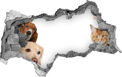 Produktbild von Selbstklebender Loch-3D-Aufkleber 95x73 cm Hunde und Katzen