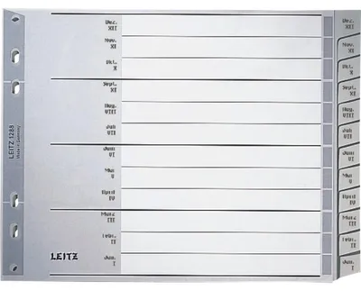 Produktbild von Leitz Kunststoffregister, DIN A4 Überbreite, 12-teilig, Dez.-Jan./XII-I, 120 my, PP, grau, Universallochung