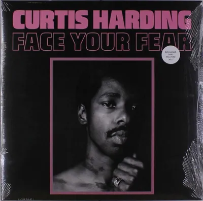 Obrázek produktu pro Curtis Harding: Face Your Fear