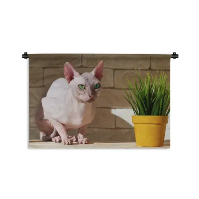 Produktbild von MuchoWow® Wandteppich Wandbehang Sphynx mit grünen Augen und einem Blumentopf 120x80 cm Tapisserie Dekoration Wandtuch - Wanddekorationen - Wandtücher