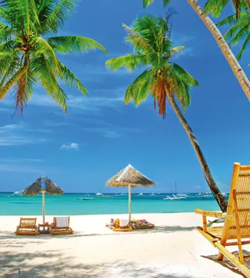 Produktbild von Fototapete - Tropical Beach 225x250cm - Vliestapete