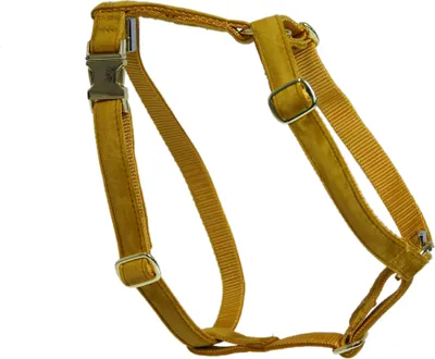 Immagine prodotto di Kentucky Dogwear Hundegeschirr Loop Velvet Senfgelb L (75-100 cm)