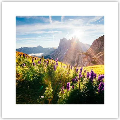 Produktbild von Poster - Poster ohne Rahmen - Berge Wiese Blumen - 30x30 cm - Wand Bild - Wanddeko - Wandbilder - Kunstposter - Wandposter - Bilder - Kunstdruck - Wanddekoration - Wandbild - P2XAC30x30-4008
